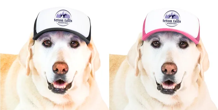 PupLid Trucker Hat Teton Tails Logo