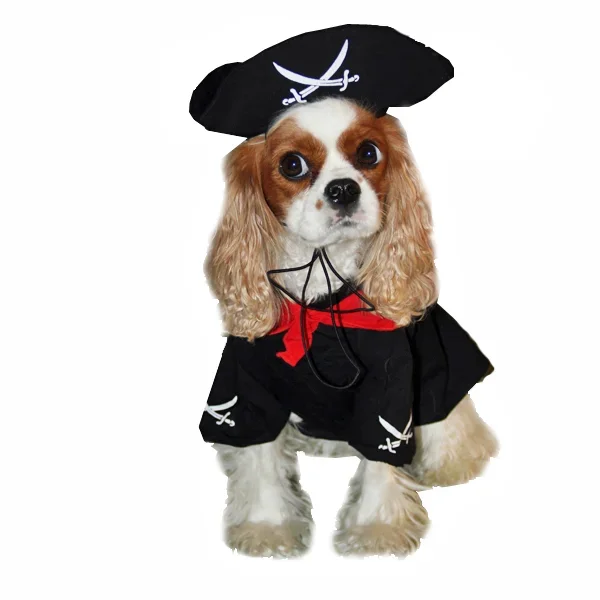 Puppe Love Caribbean Pirate Dog Costume