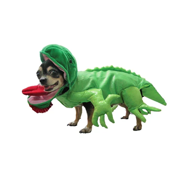 Puppe Love Iguana Dog Halloween Costume
