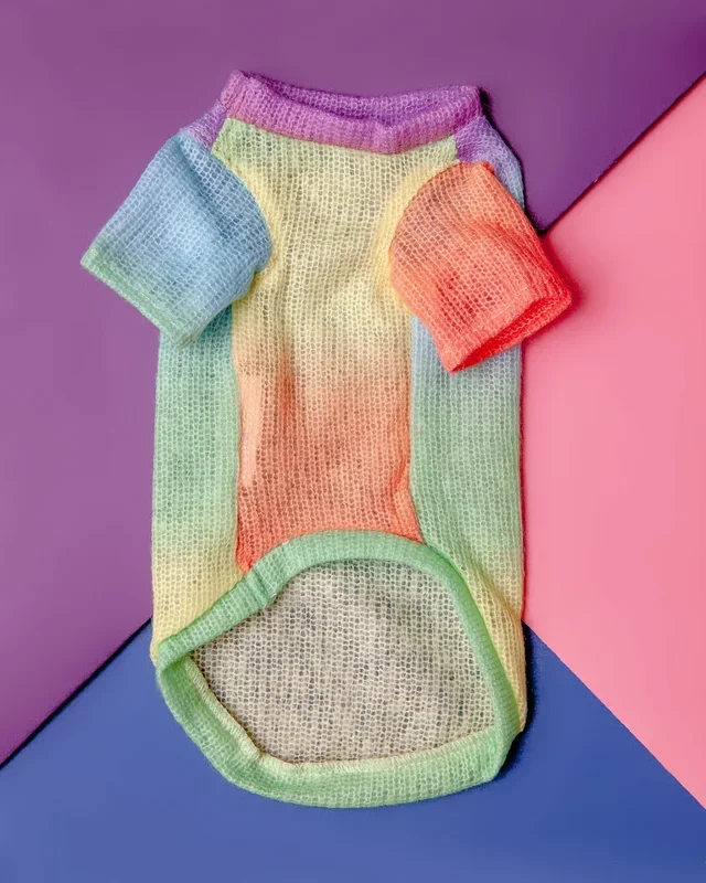 Rainbow Ombre Tiny Dog Sweater