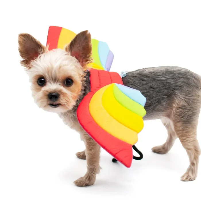 Rainbow Wings Costume from Dogo Pet