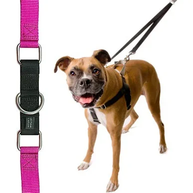 Raspberry Freedom No-Pull Harness