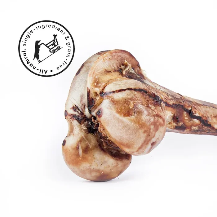 Raw Dog Monster Beef Femur (14-18″)