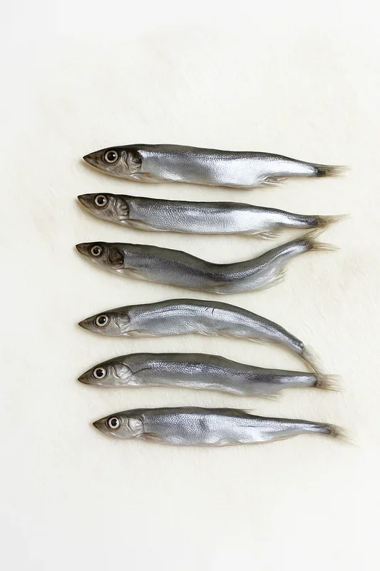 Raw Wild Caught Capelin