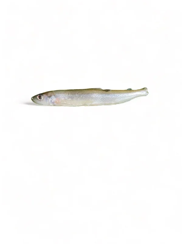 Raw Wild Caught Smelt