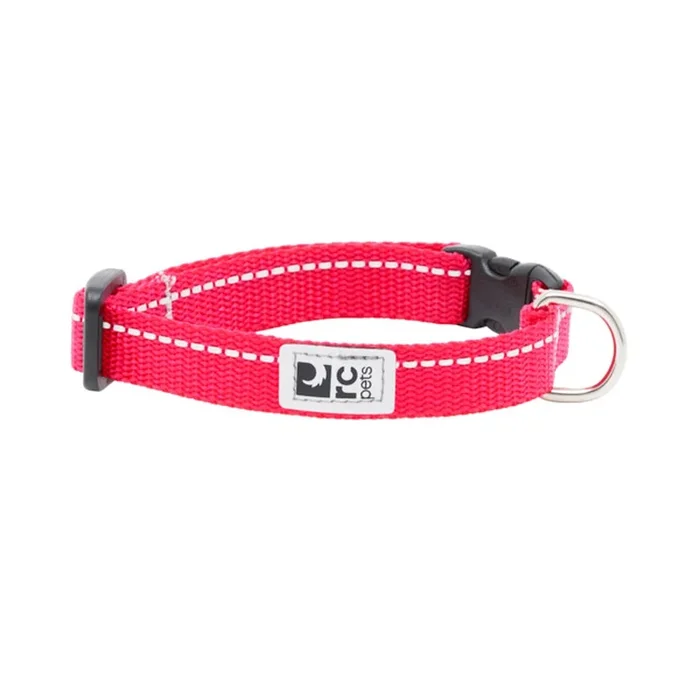 RC Pet Petite Primary Clip Dog Collar – Azalea