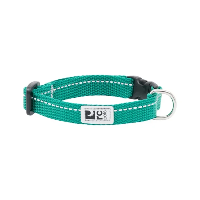 RC Pet Petite Primary Clip Dog Collar – Parakeet