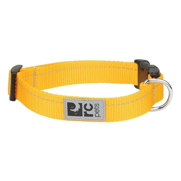 RC Pet Primary Clip Dog Collar – Marigold