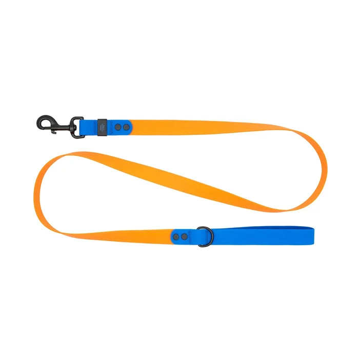 RC Pet Waterproof Dog Leash – Orange/Sapphire
