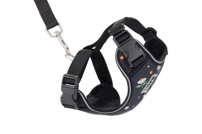RC Pets Adventure Kitty Harness for Cats in Daisies Pattern