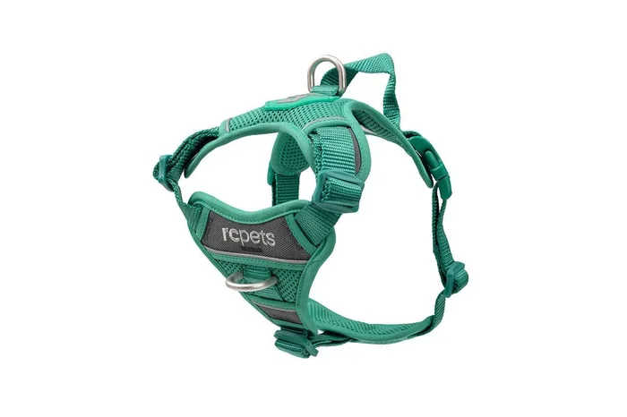 RC Pets Momentum Control Harness for Dogs in Parakeet