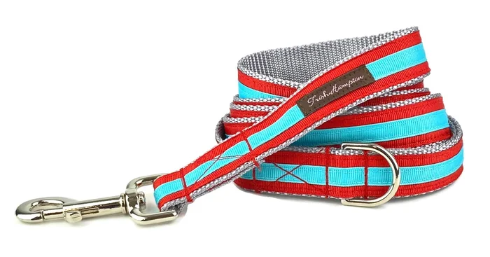 Red/Aqua Stripe 6ft Dog Leash – 330