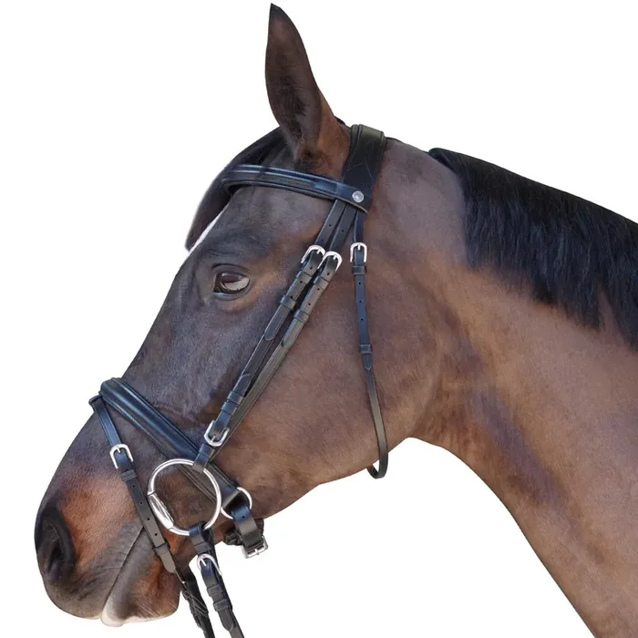 Riding Bridle Canter Euro – Pull Back
