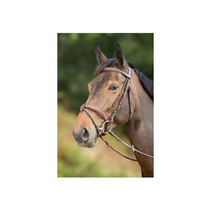 Riding bridle HFI Anatomic [Size Full]