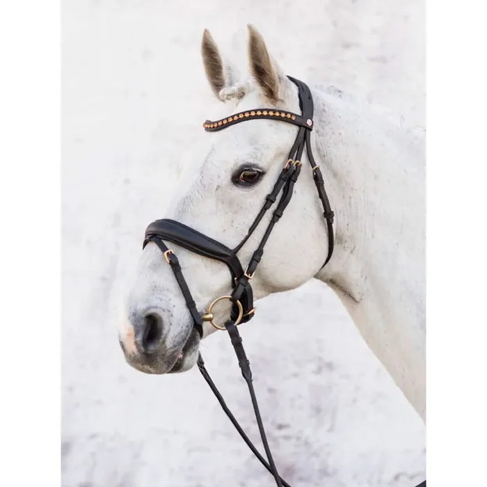 Riding bridle Jacson Cleveland