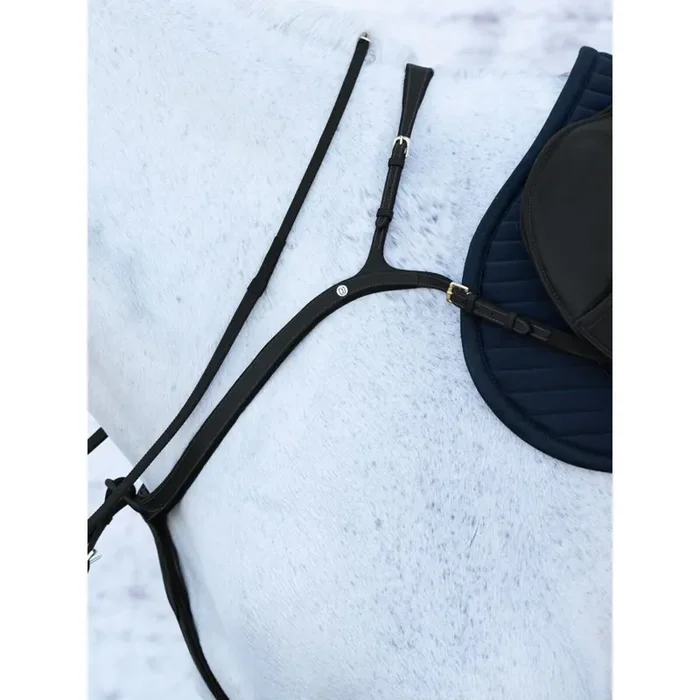 Riding bridle Jacson Olympia