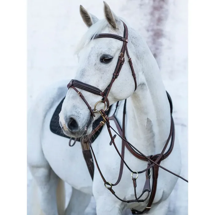 Riding bridle Jacson Olympia