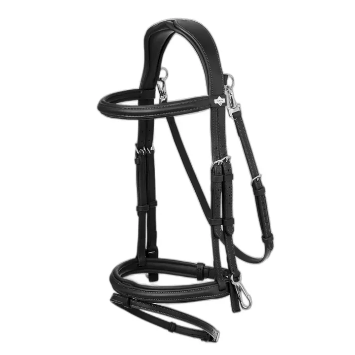 Riding Bridle LeMieux Work