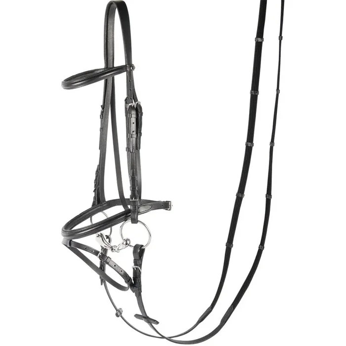 Riding Bridle + Noseband Harry‘s Horse Bronze
