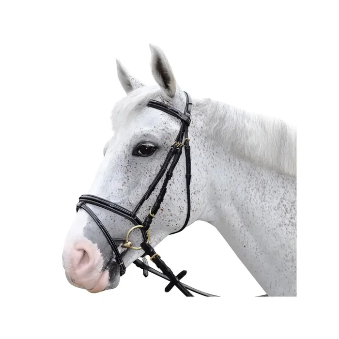 Riding bridles Chetak Bright [Size Full]