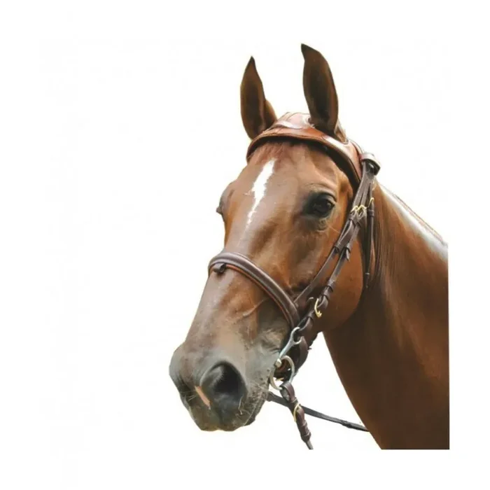 Riding bridles Eric Le Tixerant Headset [Size Full]