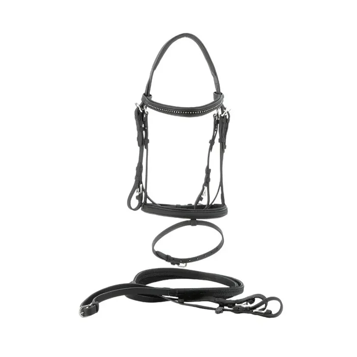Riding bridles Privilège Equitation Biarritz