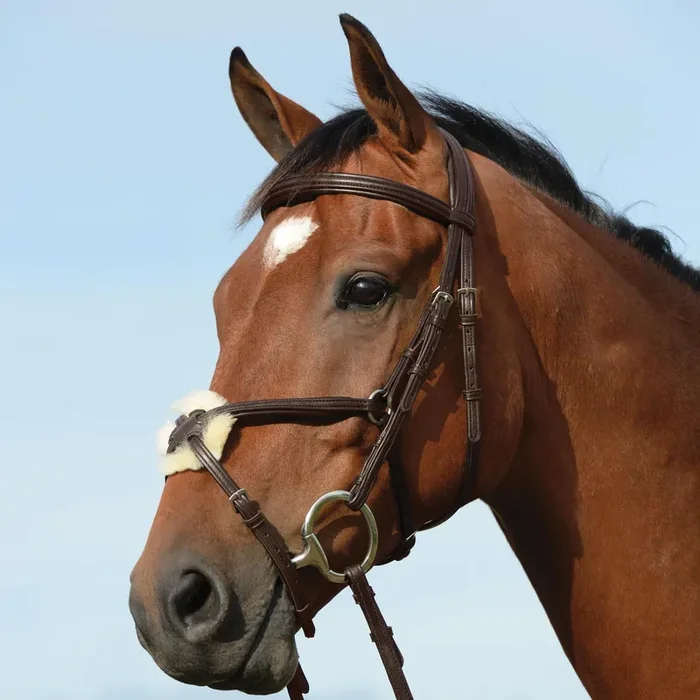 Riding bridles, raised, padded, shape 8 Weatherbeeta Collegiate Syntovia+
