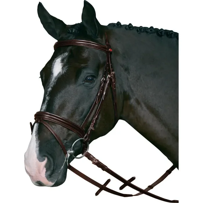 Riding bridles with supergrip HorseGuard