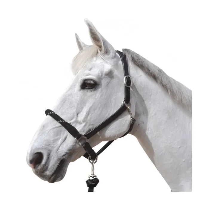 Rope halter for horse Canter [Size Pony]