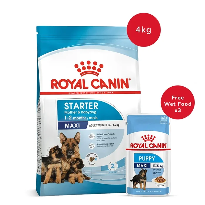 Royal Canin Maxi Starter Dry Dog Food – 4 kg + Royal Canin Maxi Puppy Wet Dog Food (140 gm x 3)