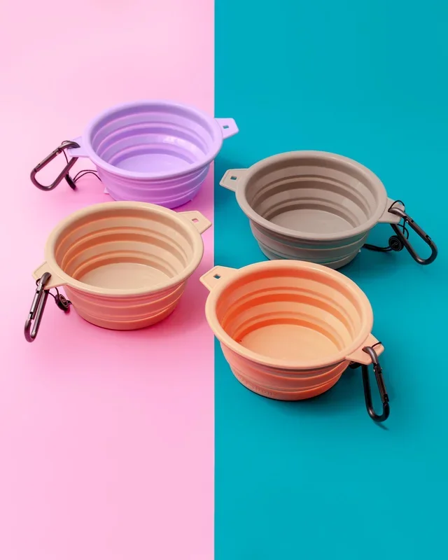 Rubber Collapsible Travel Dog Bowl (Single)