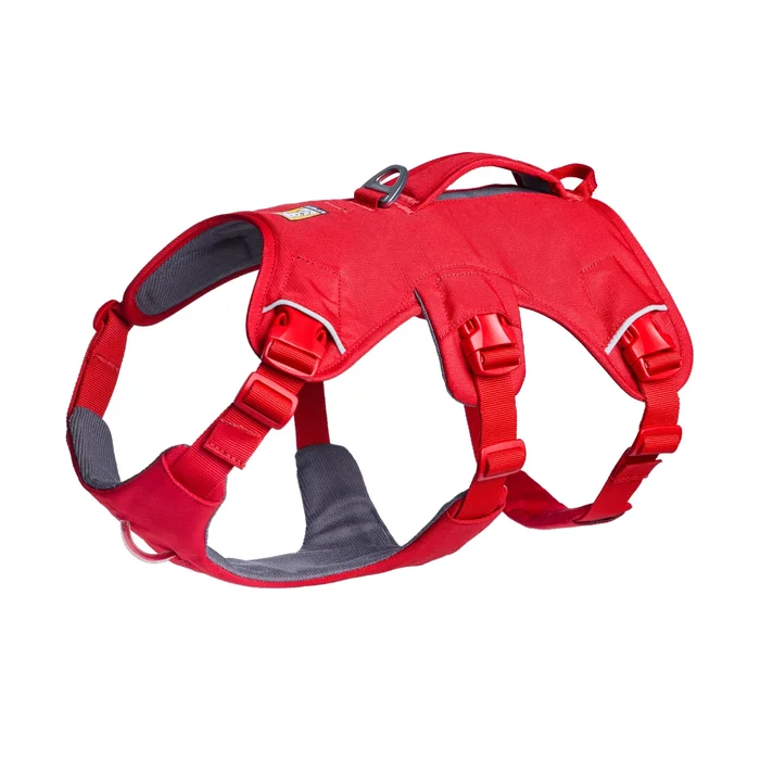 RuffWear Web Master Dog Harness – Red Canyon