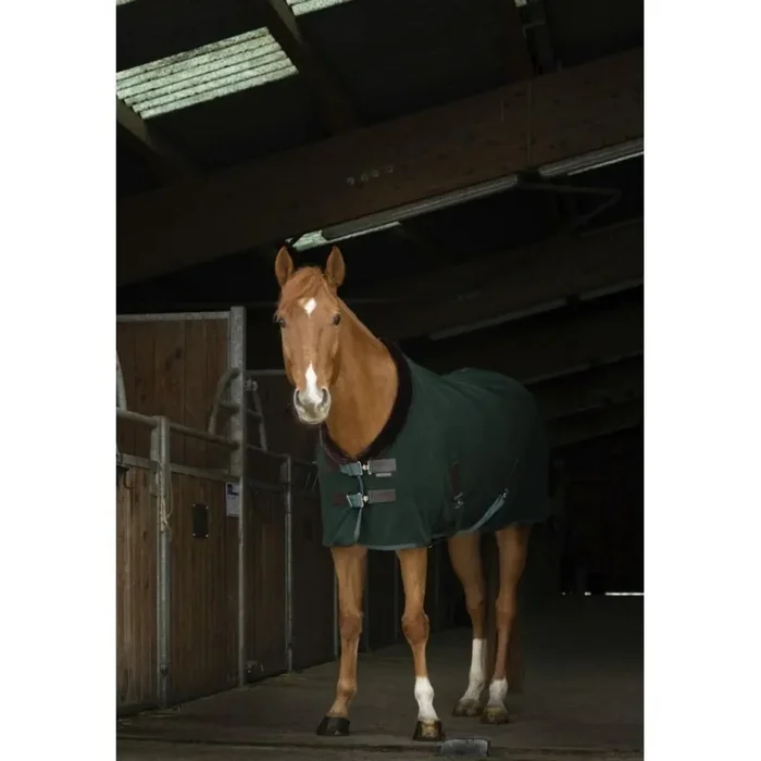 Rug Equithème Teddy