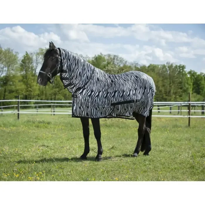 Rug Riding World Combo