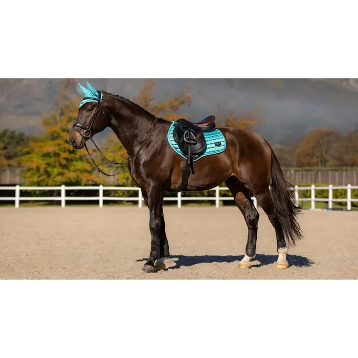 Saddle pad for horses LeMieux Classic Close Contact [Size L]
