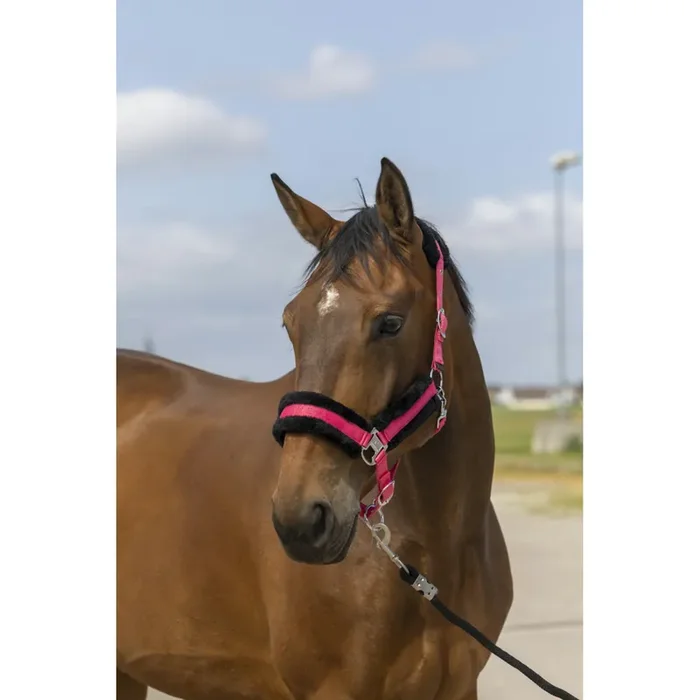 Sheepskin nylon halter Equithème