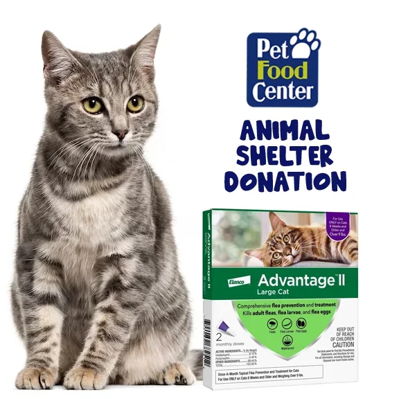 Shelter Cat Flea Prevention – Let us Pick for You – ARF