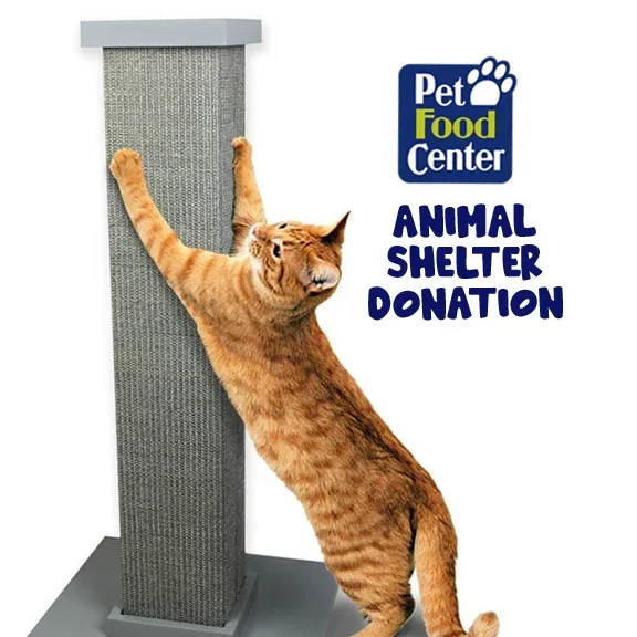 Shelter Cat Scratching Post – Let us Pick for You – ARF