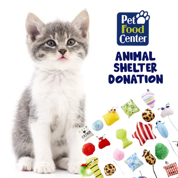Shelter Cat Toy – Let us Pick for You – Feline Fix