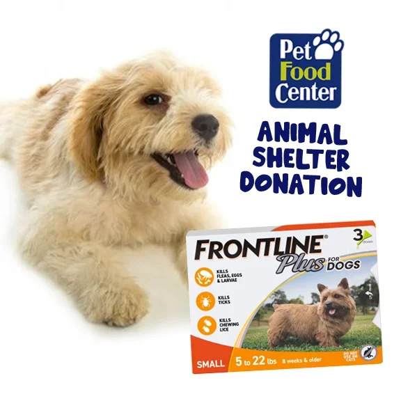 Shelter Dog Flea Prevention – Let us Pick for You – ACA