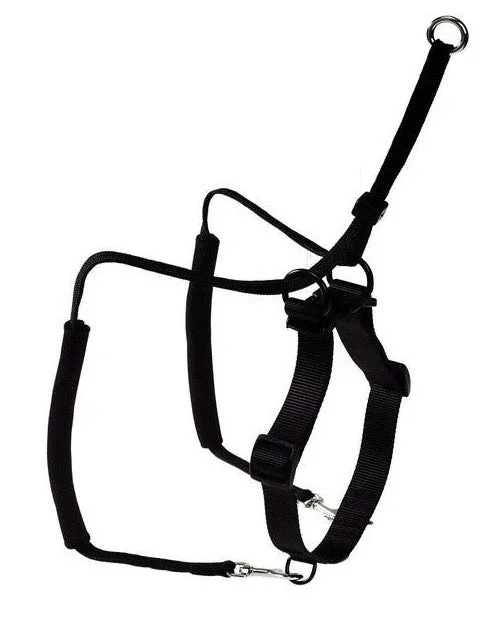 SIDE-BY-SIDE Harness