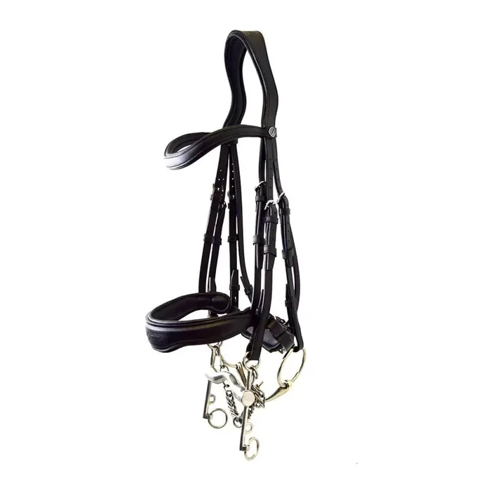 Signature dressage bridle by Antarès
