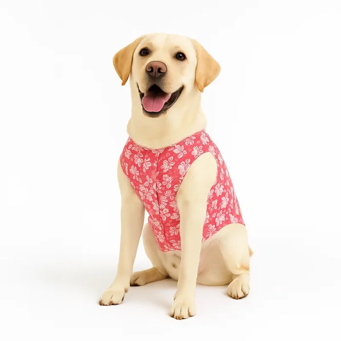 Skatrs Floral Grace Kurta for Dogs and Cats (Pink)