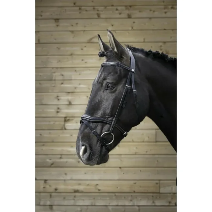 Snaffle bridles Norton Pro