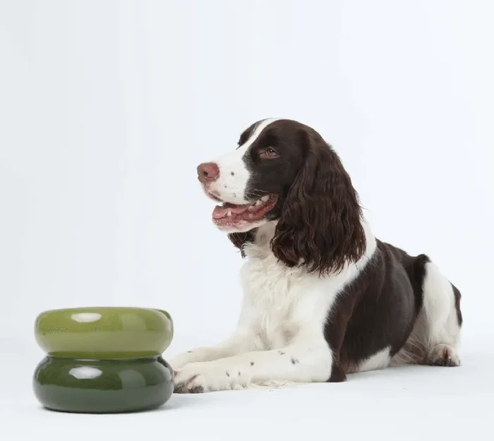 Soufflé Pet Bowl – Avocado Green
