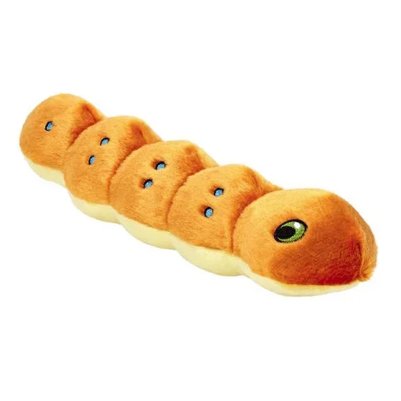 Spicy the Caterpillar