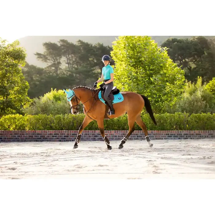 Square horse saddle pad LeMieux Loire Memory Close Contact [Size L]