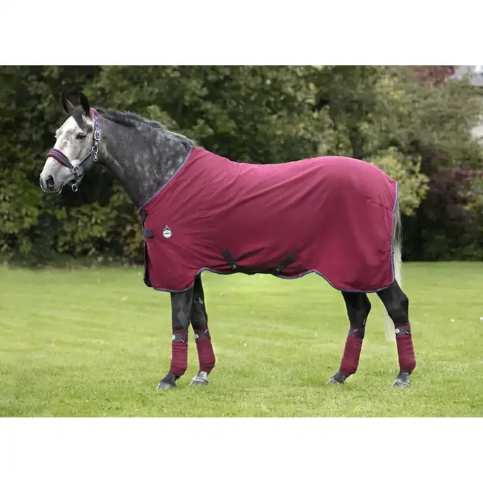 Stable blanket for horses Horseware Rambo Helix Sheet Disc