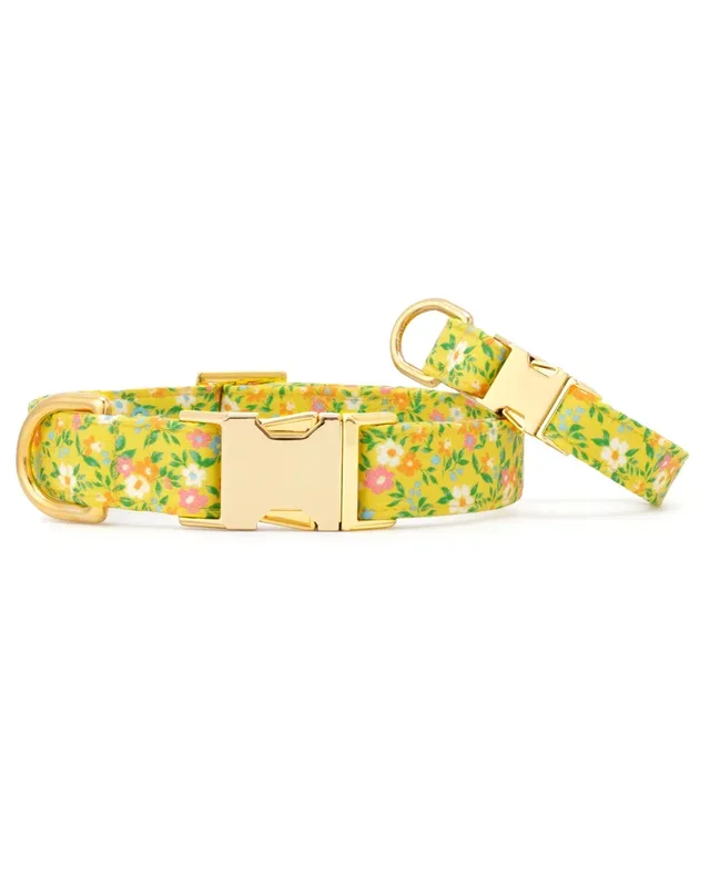 Sunny Meadow Spring Dog Collar (Made in the USA)
