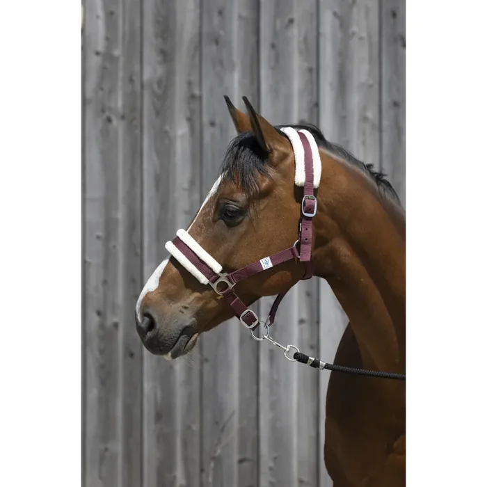 Synthetic sheepskin halter for horses Riding World